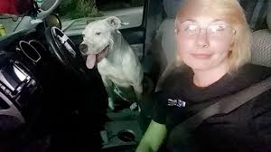 Found dog between Lake Olmstead and Washington Rd