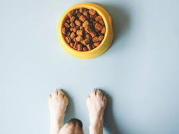 While fresh dog food delivery is significantly more expensive than regular kibble, the health benefits are worth the cost. 9 Best Pet Food Delivery Services For Dogs Cats Online In 2021 Self