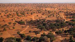 The sahara is a desert on the african continent. Sahara Actually Has Quite A Few Trees Cosmos Magazine