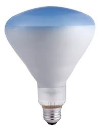 Philips Led Philips 415307 Agro Plant 120 Watt Br40 Food Light Bulb Light Bulb Philips Led Bulb