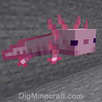 We did not find results for: Axolotl In Minecraft