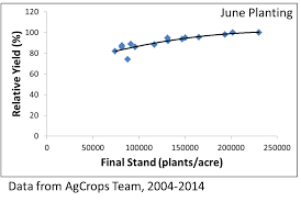Adjustments For Late Planted Or Replanted Soybean