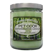 Pet odor exterminator candle orange lemon splash. Pet Odor Exterminator Candles