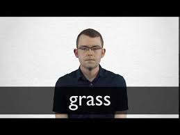 The Grass Is Always Greener On The Other Side Meaning In Hindi French Translation Of Grass Collins English French Dictionary