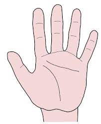 Hand Palm Forward Hand Palm Clip Art Paper Piecing