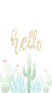 Hello Cactus Png Box Free Iphone Wallpaper Iphone Wallpaper Iphone Background