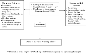 Nocturnal Enuresis In India Are We Diagnosing And Managing