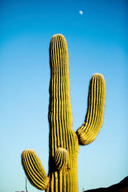 School Subjects in Spanish - Rocket Languages