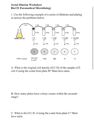 View, download and print solutions & dilutions worksheet pdf template or form online. Solved Serial Dilution Worksheet Bio152 Paramedical Micro Chegg Com