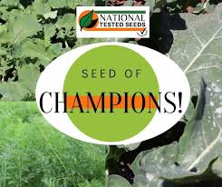 With our vegetables, fruits, herbs. National Tested Seeds Farm Shop National Tested Seeds Facebook