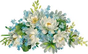 Beautiful white flowers images hd. Hd Wallpaper White Flowers With Green Leaf White Background Beautiful Blue Flowers Wallpaper Flare