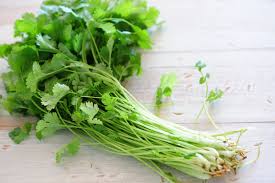 Fennel seeds jintan manis cumin jintan putih new malaysian kitchen. Jangan Silap Beli Lagi Ini 5 Perbezaan Antara Daun Sup Dengan Daun Ketumbar