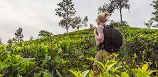 Best rated in women's exotic lingerie sets & helpful customer reviews these pictures of this page are about:exotic. Trekking Exotic Sri Lanka Luxury Sri Lanka Itinerary Remote Lands