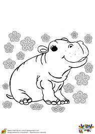 Page 8 Sur 18 Sur Hugolescargot Com Bebe Hippopotame Dessin Hippopotame Coloriage Animaux