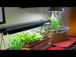 What is a grow light for seedlings. Live 3 Grow Light Mistakes To Avoid For Indoor Vegetable Seedlings Live Q A Replay Youtube