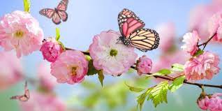 How many days until christmas 2021? Countdown To Spring Days Until Spring