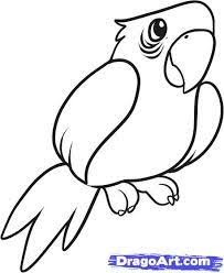 Image Result For Simple Animal Outline Drawings For Kids Parrot Drawing Easy Drawings Drawings