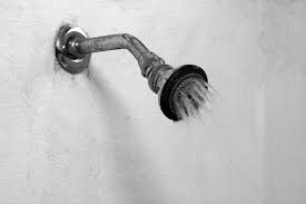 We did not find results for: What S Lurking In Your Showerhead The New Yorker