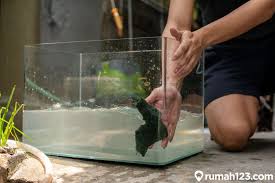 .dari botol aqua bekas, budidayaikanhias com cara membuat aquarium dari plastik sangat simple sekali hanya dengan menyiapkan bahan bahan utama pembuatan aquarium seperti botol plastik bekas toples ataupun gallon plastik bekas yang ada dirumah anda dengan memanfaatkan barang bekas. Aquarium Unik Dari Barang Bekas Aquascapemini Cara Membuat Aquarium Dari Barang Bekas Untuk Ikan Cupang Youtube Ikan Cupang Itu Cocoknya Dibuatkan Aquarium Mini Portable Khusus Ikan Cupang Dengan Desain Yang