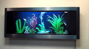 This requires me to cut an opening in the main support wall of the house (runs down the middle of home). What About Wall Mounted Fish Tanks Ratemyfishtank Com