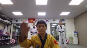 Learn taekwondo the easy way and free, kicks, forms, patterns. Hawrang Taekwondo Academy Bs2 Ashirwad Apt Muthapudupet Iaf Avadi Chennai 2021