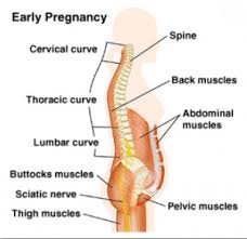 Pin On Lower Back Pain Doctor