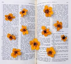 Check out our yellow books selection for the very best in unique or custom,. Yellow Book And Aesthetic Image 6731721 On Favim Com