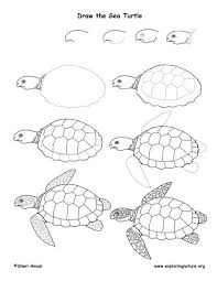 Maybe you would like to learn more about one of these? 39 New Ideas For Watercolor Art Fish Sea Turtles Turtle Drawing Sea Turtle Drawing Turtle Painting
