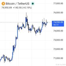 Trend Google: bitcoin price