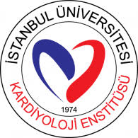 Jumping inside the editor and adding money to your budget is cheating, sorry guys but its true. Kasimpasa Sk Istanbul Brands Of The World Download Vector Logos And Logotypes