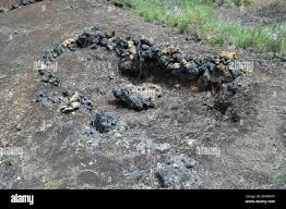 Image result for tbn:0DAOHh2-xx0FjM::www.3roos.com/postsimages/d60e3afe16044b303e40d5e60727bae6.jpg