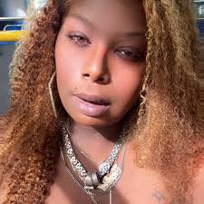 After quelling external disturbances, the master of Serene Palace, Freya  Sadler, returns to Derasia, wishing to provide her daughter, Lily Sadler,  with a grand dowry. However, she discovers that her daughter has