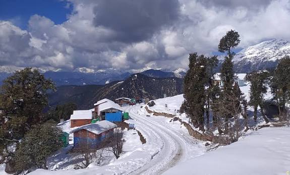 Chopta Meadows
