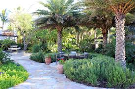 Palm tree flower bed ideas. Gulf To Bay Garden Tropical Landscape Tampa By Michael A Gilkey Inc Houzz