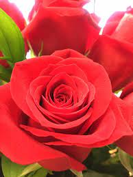 We did not find results for: Flowers By June Home Facebook