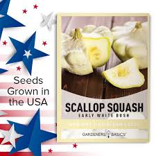 Early White Bush Scallop Squash Seeds For Planting Gardens & Container