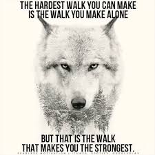 Sieh Dir Dieses Instagram Video Von Ambitioncircle An Gefallt 4 018 Mal Wolf Quotes Lone Wolf Quotes Lone Wolf
