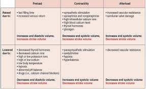 Cardiovascular Cardiac Output Diagram Quizlet