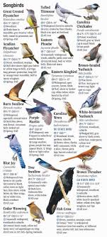 Questions specific to south carolina are the. Birds Of North Carolina South Carolina And Georgia Quick Reference Publishing