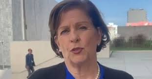 Pilar Cisneros no liderará campaña de Laura Fernández