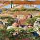 Farmer Steph Holiday Workshops @ Toad & Co: MAINE HOLIDAY HARVEST WREATH