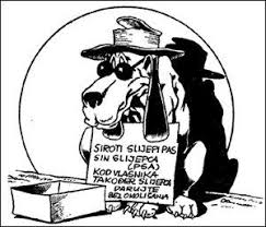 siroti slijepi pas...