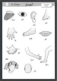 Iqra Wa Ktoub Apprendre L Arabe Langue Arabe Lettres De L Alphabet Arabe