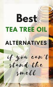 Best Tea Tree Oil Alternatives If You Can T Stand The Smell Best Tea Tree Oil Tea Tree Oil For Acne Tree Oil
