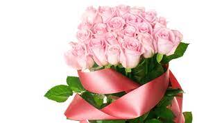 Wallpaper rose flower bouquet images hd. Wallpaper Roses Flowers Bouquet Elegant Ribbon 2560x1600 Wallhaven 1086957 Hd Wallpapers Wallhere