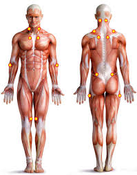 Yrd doç dr serdar saraç Fibromiyalji Nedir Ve Biorezonans Ile Fibromiyalji Tedavisi Dr Fulden Kucuk