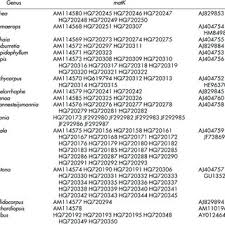 Huawei p smart 2019 android smartphone. Pdf Dna Barcode Authentication Of Saw Palmetto Herbal Dietary Supplements