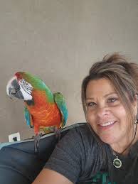 Eagles Fans Gathering at Jax Bar & Grill