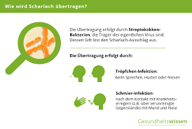 Scharlach Symptome Verlauf Schutzmassnahmen