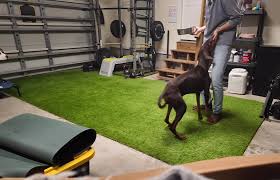 Bycie właścicielem dobermana oznacza również bycie trenerem na pół etatu 😝. Mój 10-miesięczny doberman zmusił mnie do nauki kreatywnych sposobów na zajęcie jej umysłu. Ale nie zmieniłabym tego za nic w świecie | Lindsay ...